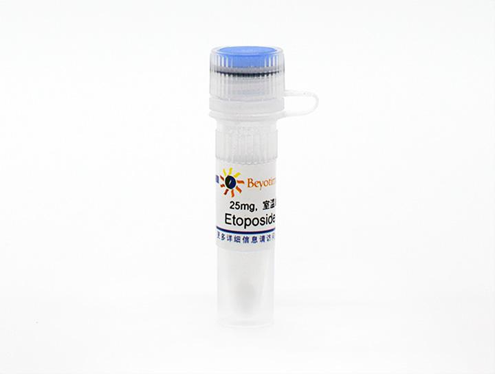 Etoposide (Topoisomerase抑制剂)